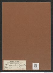 Hemiaulus hanckii Grun. (de-Toni-Nr.: Genus 117, Species 3335) Zeichnungen Sammlung Grunow Mappe 03546 (Herbarium_W_Grunow_drawings_Folder_03546)
